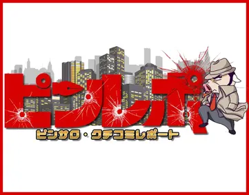 ピンレポ