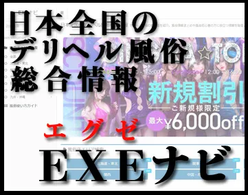 EXEナビ