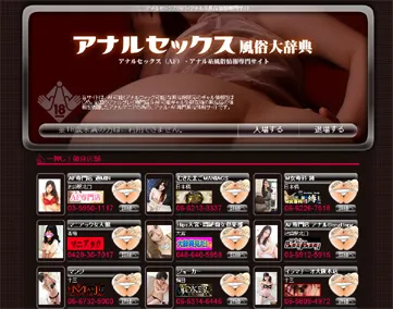 アナルセックス風俗大辞典