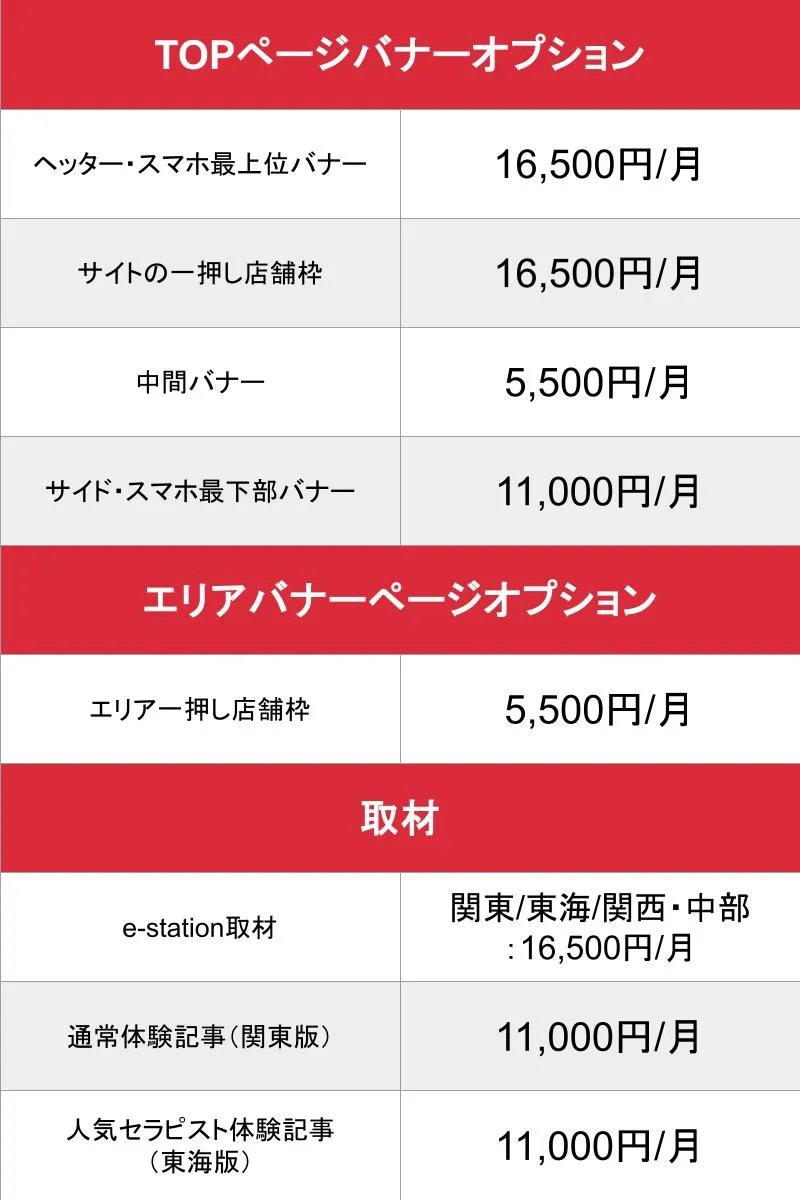 e-station_オプション_料金表