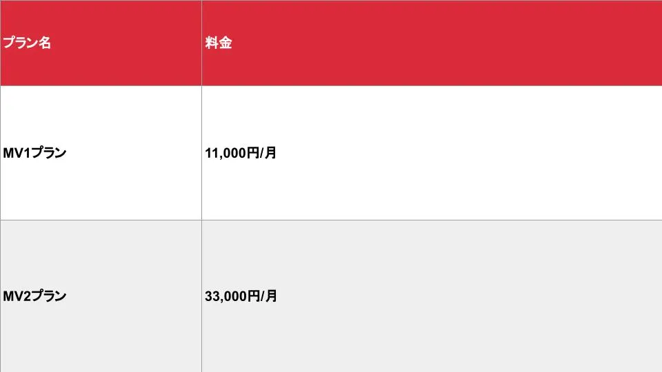 メンズビガー_基本_料金表
