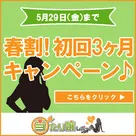 【当たり嬢レポート】春割！初回3ヶ月キャンペーン開催のお知らせです♪