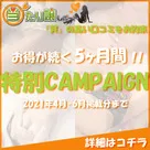【当たり嬢レポート】お得に掲載！特別キャンペーン開催のお知らせです。