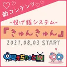 【見えちゃっとTV】新コンテンツ『きゅんきゅん』が始動します！